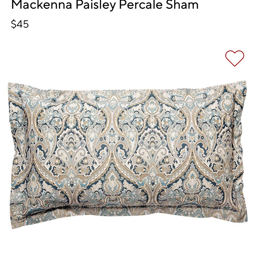 Two Blue Mackenna Pottery Barn King size pillow shams